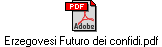 Erzegovesi Futuro dei confidi.pdf