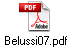 Belussi07.pdf