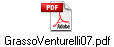 GrassoVenturelli07.pdf