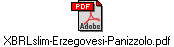 XBRLslim-Erzegovesi-Panizzolo.pdf