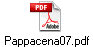 Pappacena07.pdf