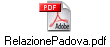 RelazionePadova.pdf