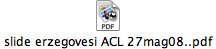 slide erzegovesi ACL 27mag08..pdf