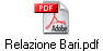 Relazione Bari.pdf